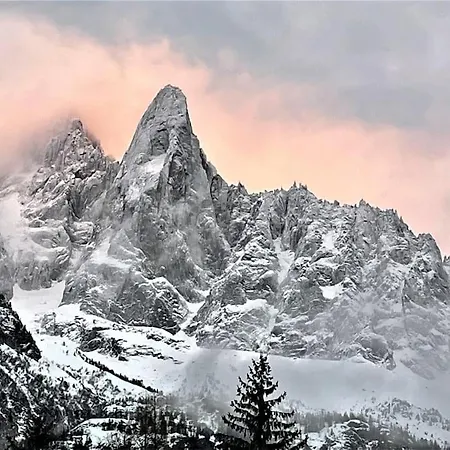 Typique De Montagne 샤모니